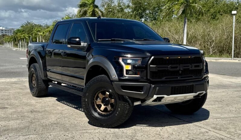 2019 Ford RAPTOR lleno