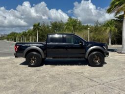 2019 Ford RAPTOR lleno