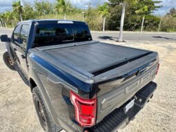 2019 Ford RAPTOR lleno