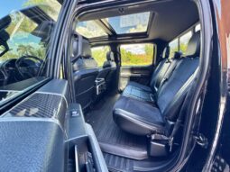 2019 Ford RAPTOR lleno
