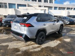 2020 Toyota RAV4 Adventure 4dr SUV AWD lleno