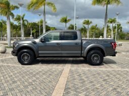 2019 Ford RAPTOR lleno