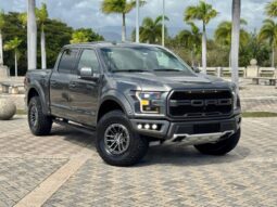 2019 Ford RAPTOR lleno