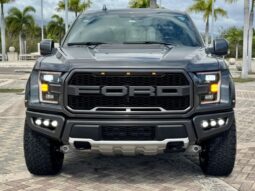 2019 Ford RAPTOR lleno