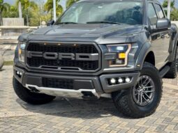 2019 Ford RAPTOR lleno