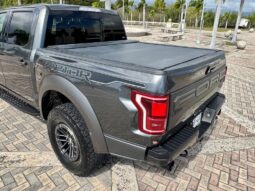 2019 Ford RAPTOR lleno