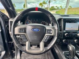 2019 Ford RAPTOR lleno