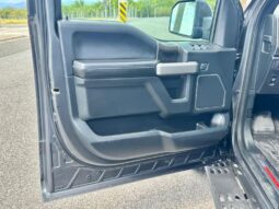 2019 Ford RAPTOR lleno