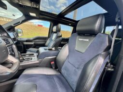 2019 Ford RAPTOR lleno