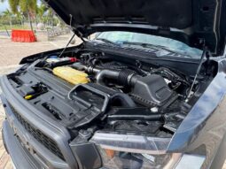 2019 Ford RAPTOR lleno