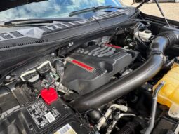 2019 Ford RAPTOR lleno